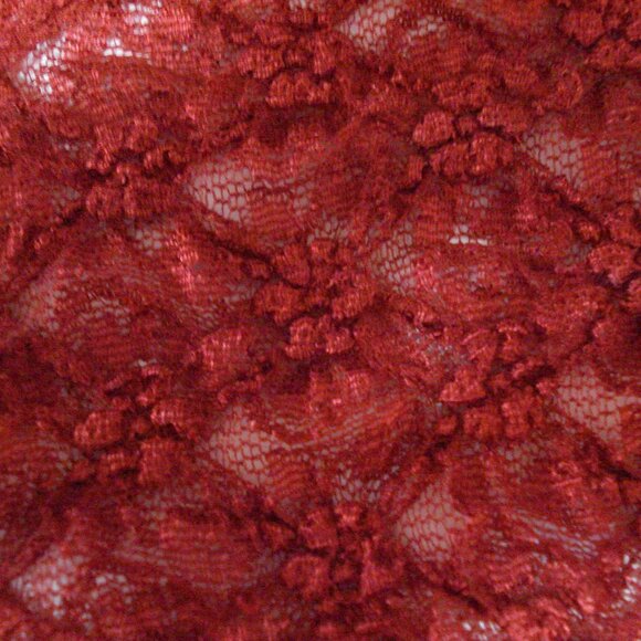 Rich Lace Floral Slip-On Blouse, Elegant & Sheer - Picture 5 of 6